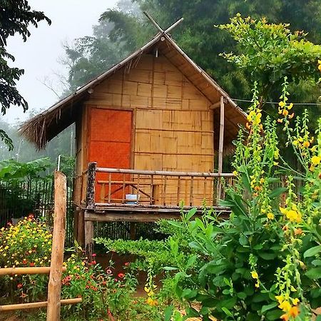 Baan Aingdoi Homestay, Chiang Dao Zewnętrze zdjęcie