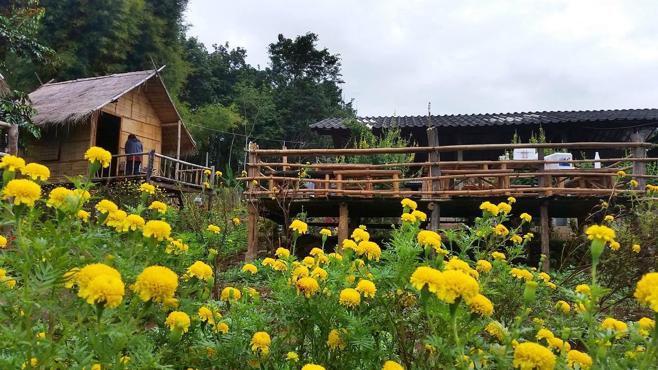 Baan Aingdoi Homestay, Chiang Dao Zewnętrze zdjęcie