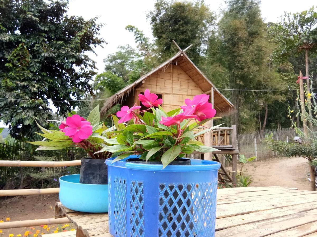 Baan Aingdoi Homestay, Chiang Dao Zewnętrze zdjęcie
