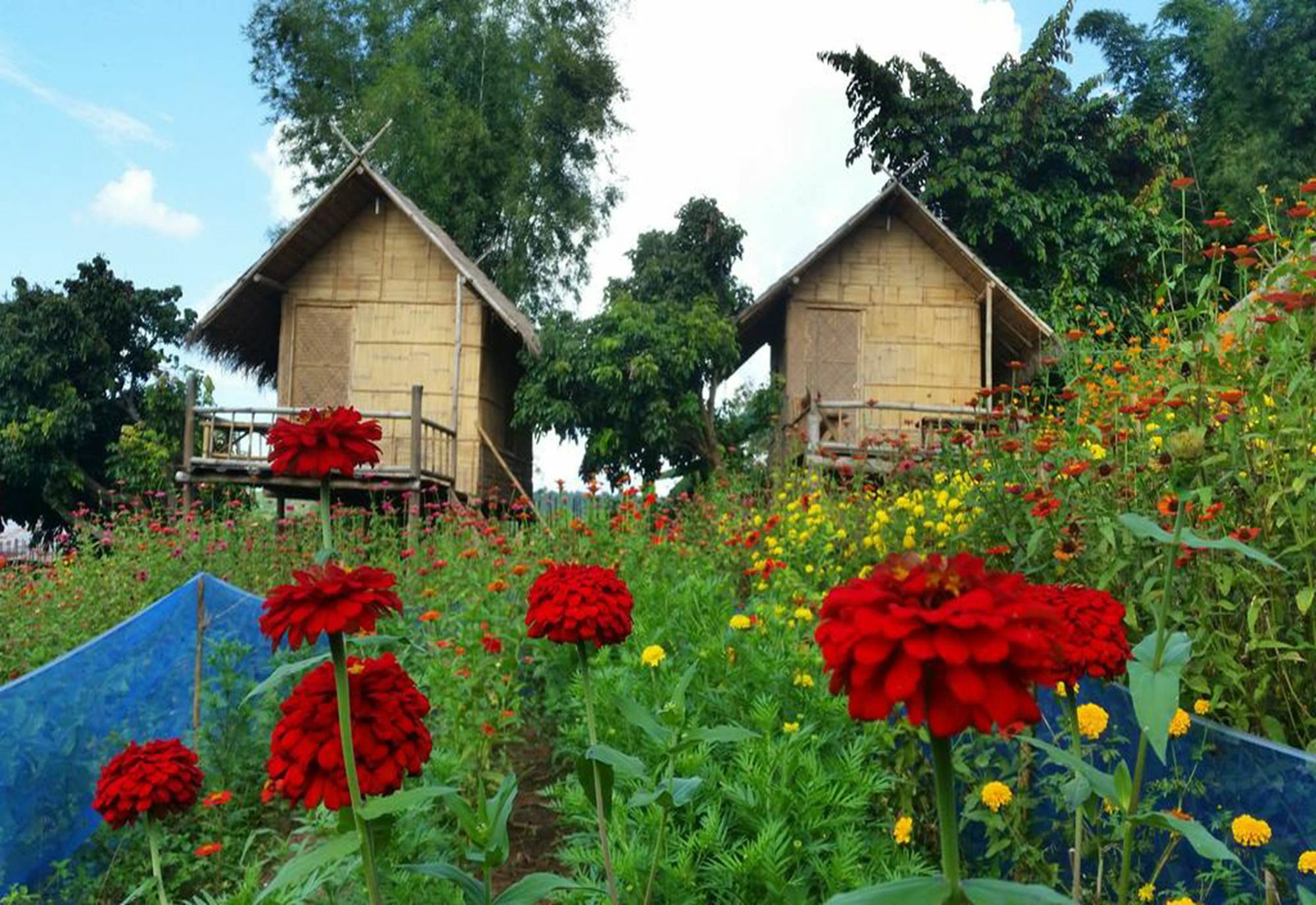 Baan Aingdoi Homestay, Chiang Dao Zewnętrze zdjęcie