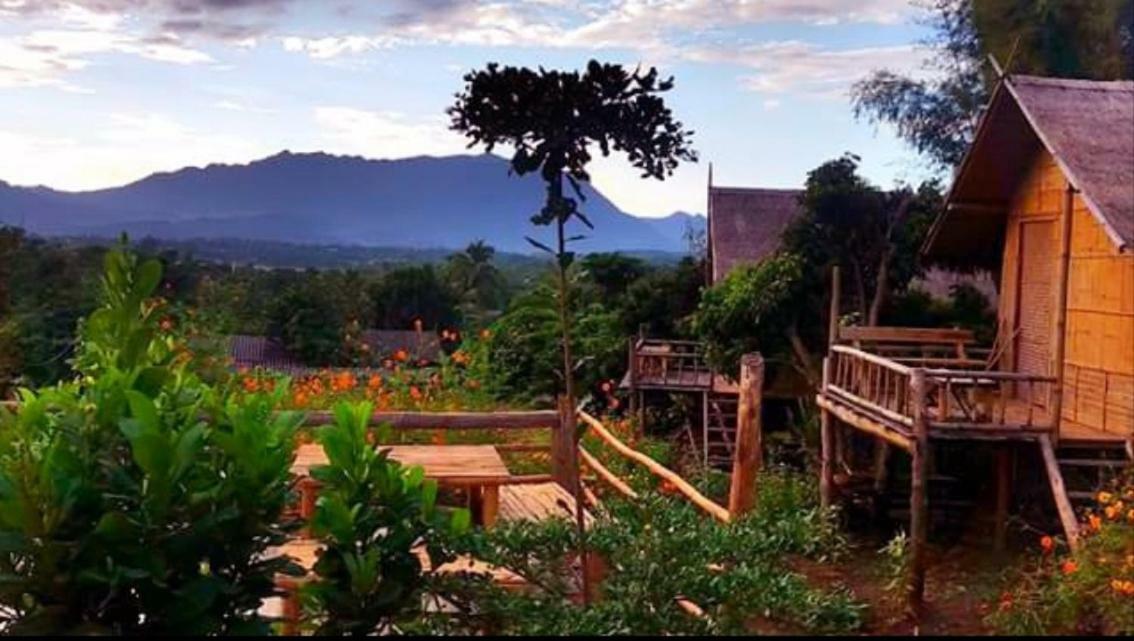 Baan Aingdoi Homestay, Chiang Dao Zewnętrze zdjęcie