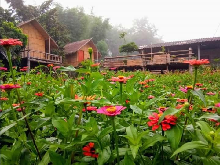 Baan Aingdoi Homestay, Chiang Dao Zewnętrze zdjęcie