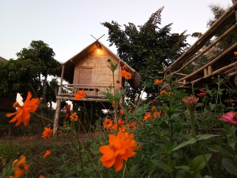 Baan Aingdoi Homestay, Chiang Dao Zewnętrze zdjęcie